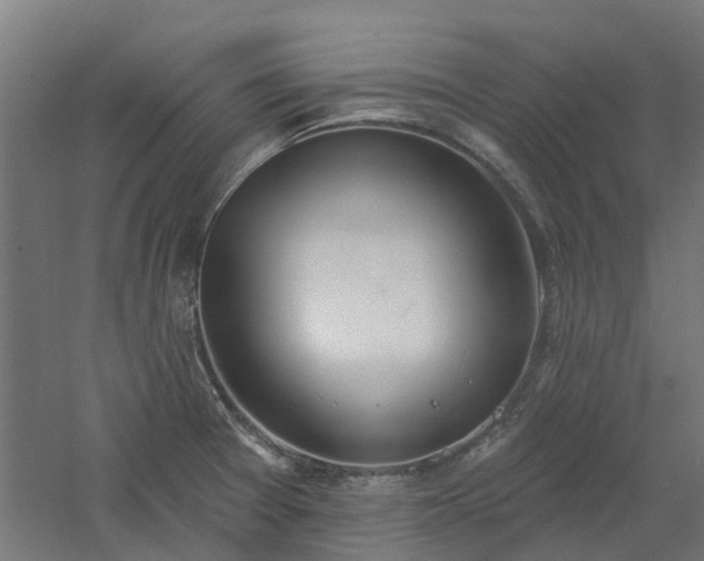 X0000061101377200511241604