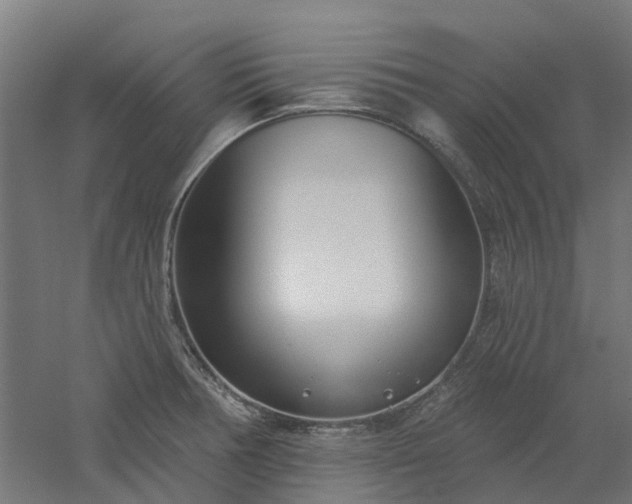 X0000061101378200511241604