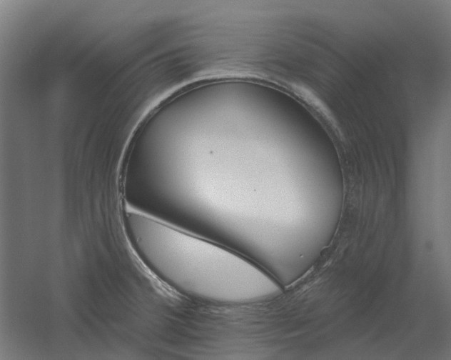 X0000061101380200511241604