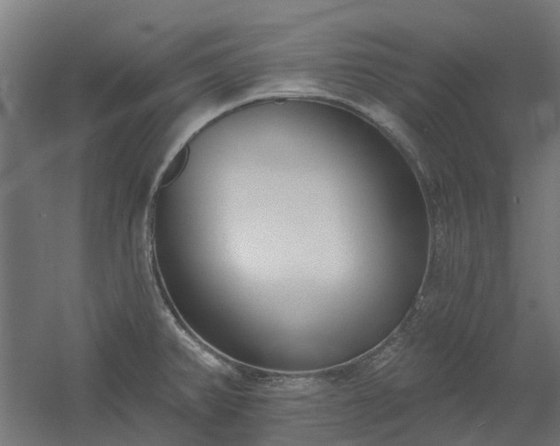 X0000061101382200511241604