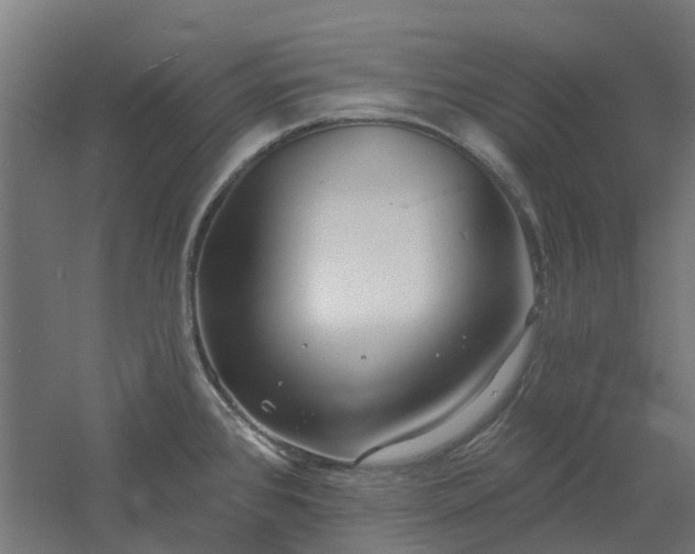 X0000061101384200511241604
