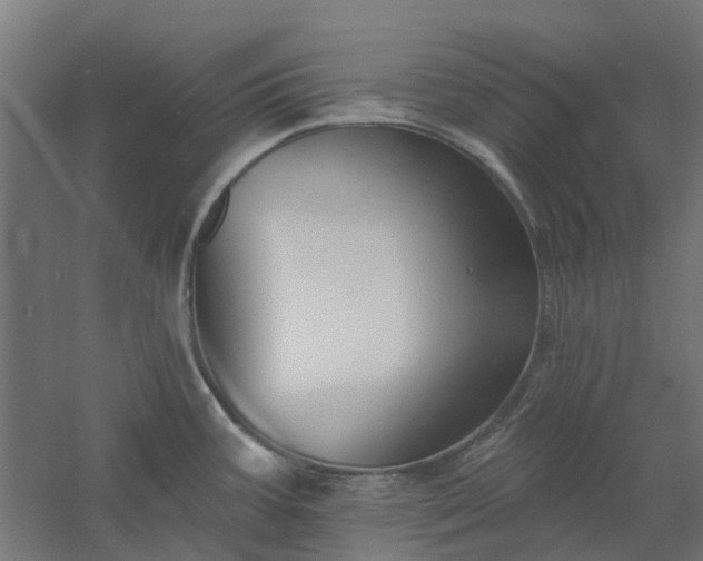 X0000061101387200511241604