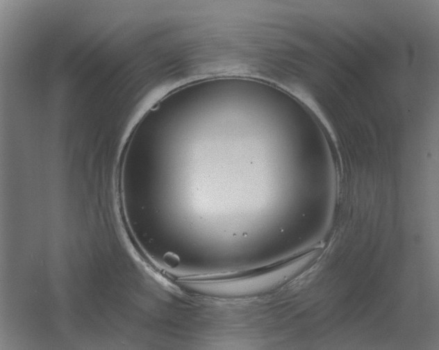 X0000061101389200511241604