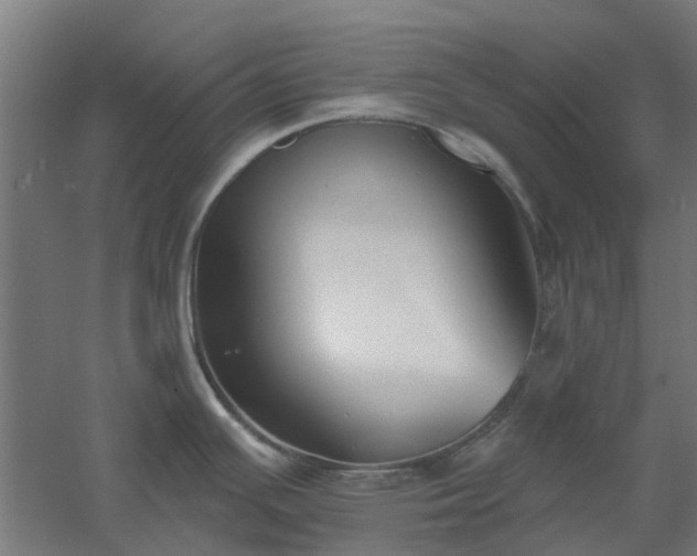 X0000061101391200511241604