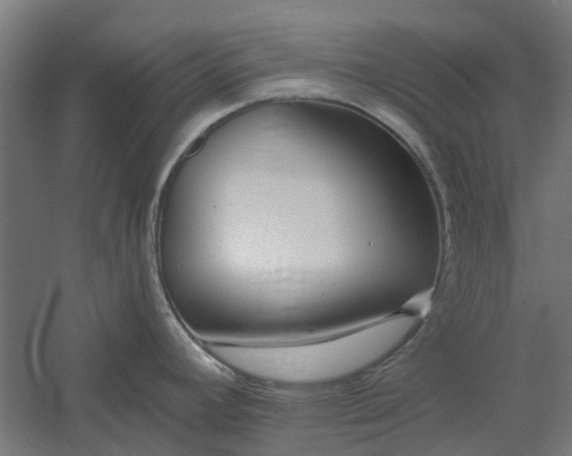 X0000061101392200511241604