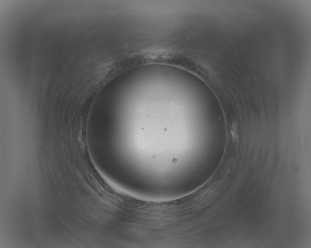X0000061101396200511241603