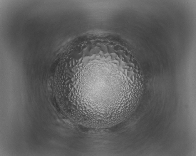 X0000061101397200511241603