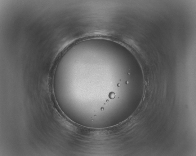 X0000061101404200511241603