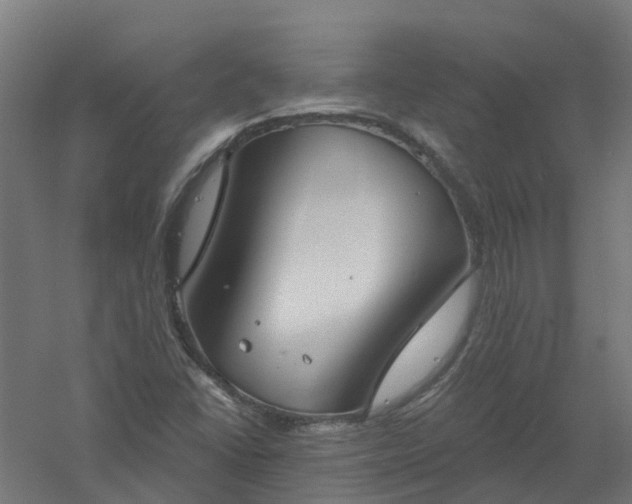 X0000061101406200511241603