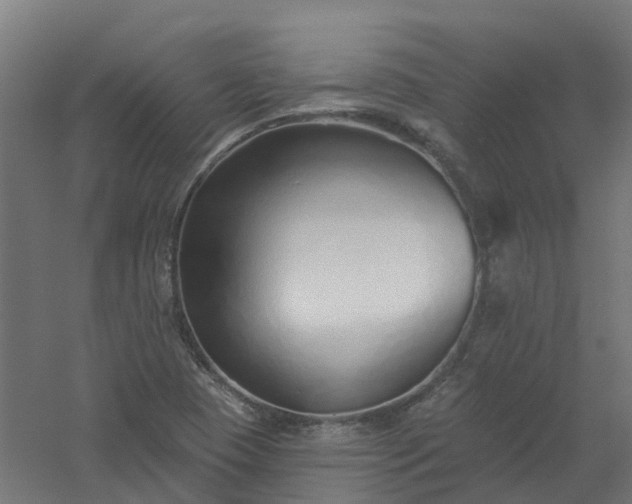 X0000061101409200511241603