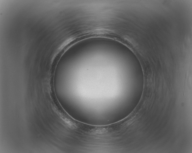 X0000061101410200511241603