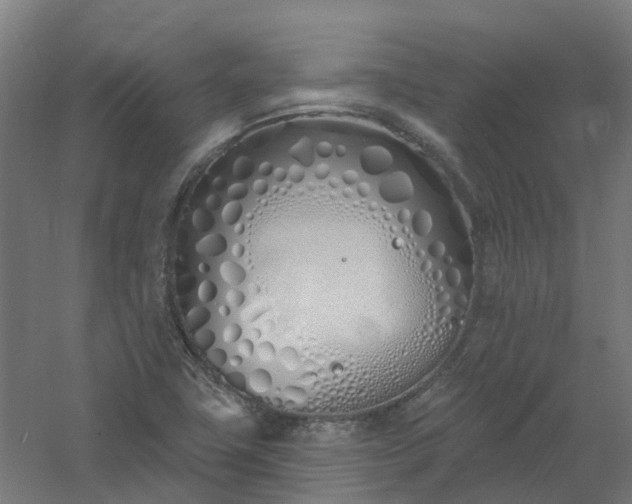 X0000061101411200511241603