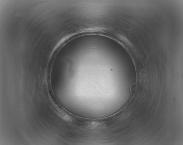 X0000061101412200511241603