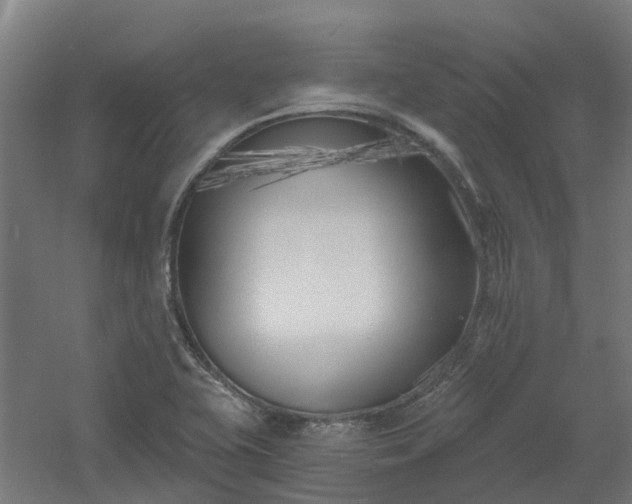 X0000061101415200511241603