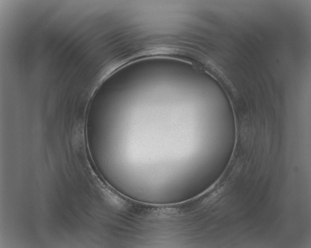 X0000061101417200511241603