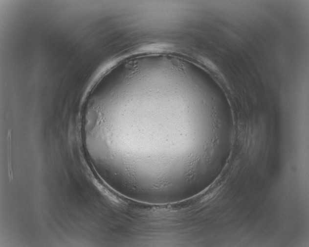 X0000061101421200511241604