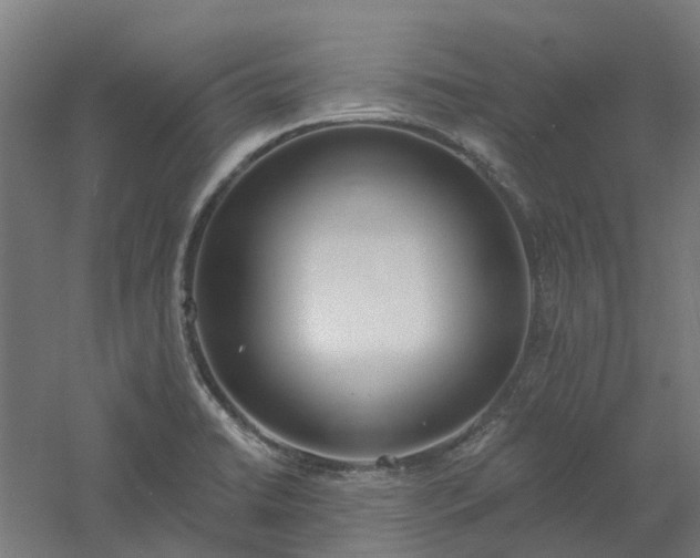 X0000061101422200511241604