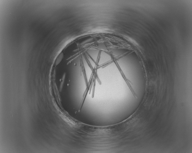 X0000061101423200511241604