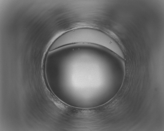 X0000061101427200511241604