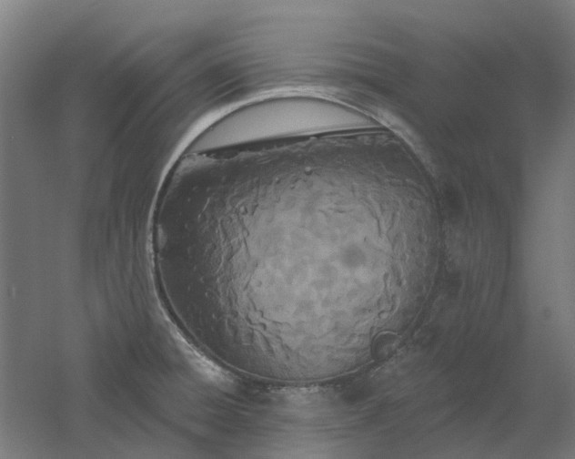 X0000061101428200511241604
