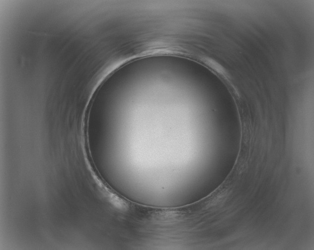 X0000061101431200511241604