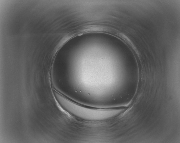 X0000061101433200511241604