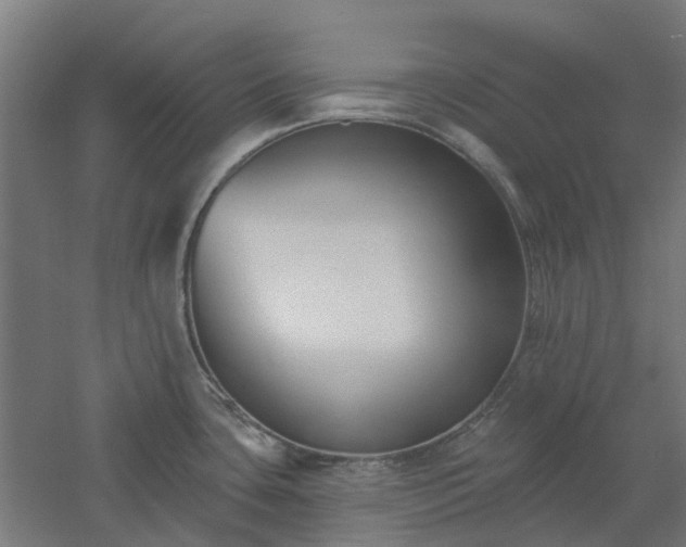 X0000061101435200511241604