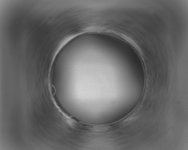 X0000061101440200511241604