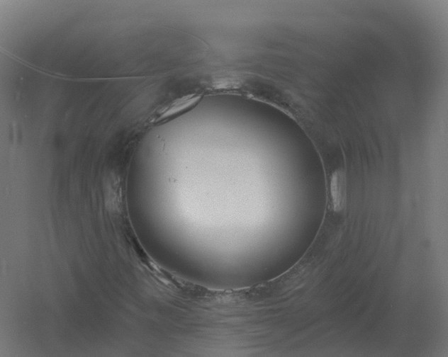 X0000061101443200511241603