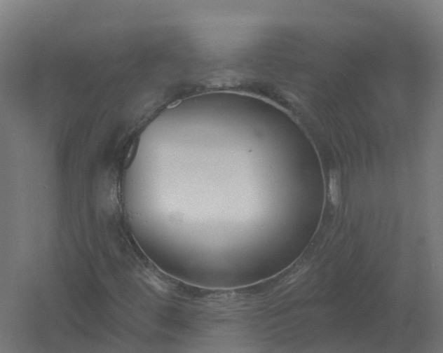 X0000061101444200511241603