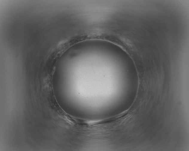 X0000061101445200511241603