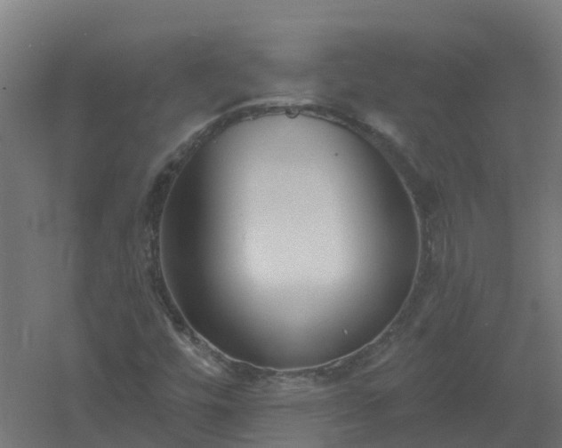 X0000061101448200511241603