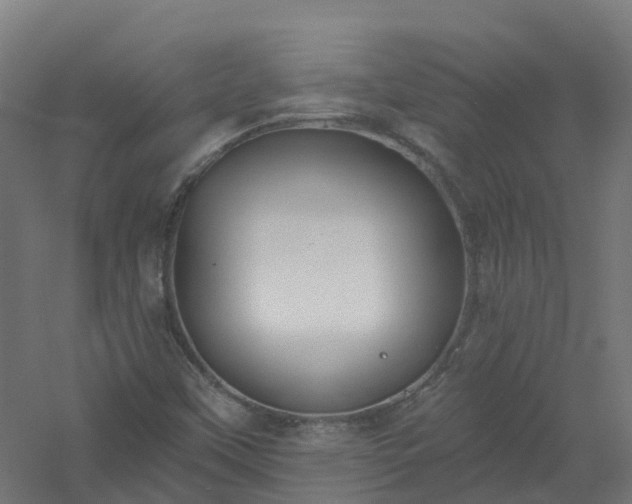 X0000061101451200511241603