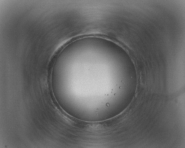X0000061101452200511241603