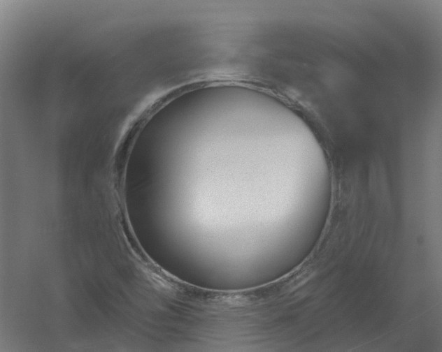 X0000061101454200511241603