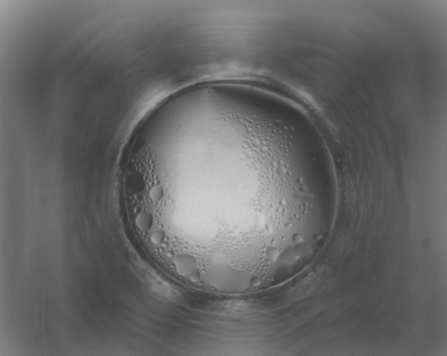 X0000061101463200511241603