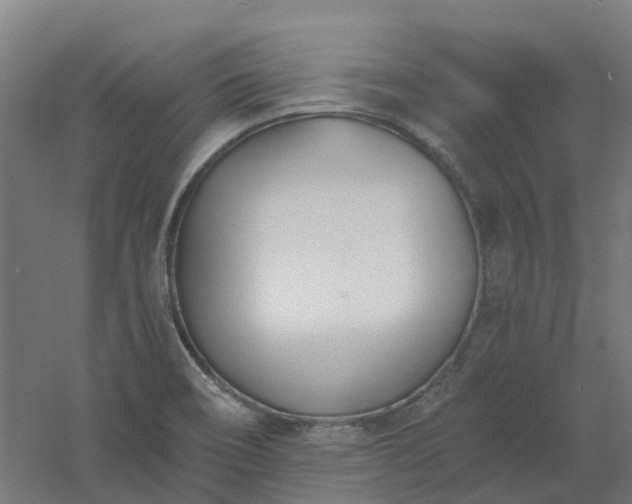 X0000061101466200511241603