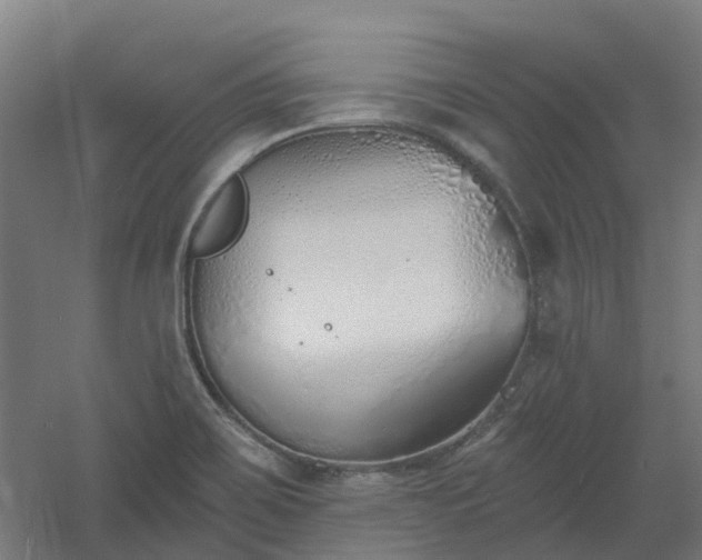 X0000061101467200511241603