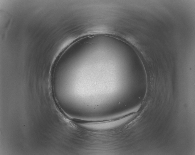 X0000061101469200511241603