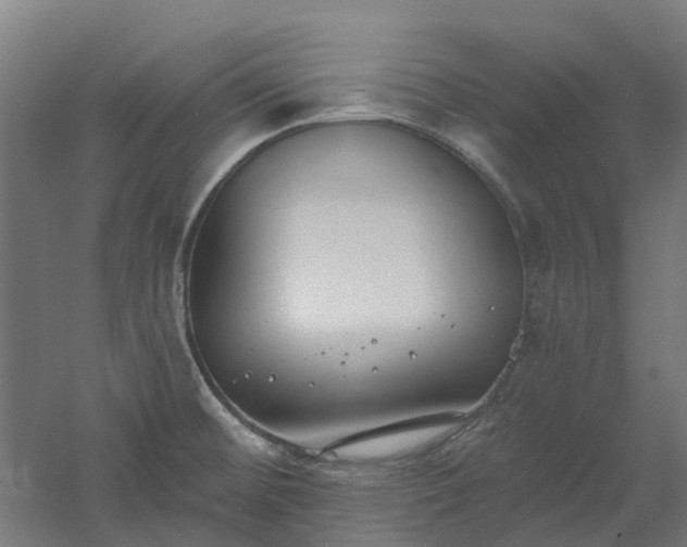 X0000061101476200511241602