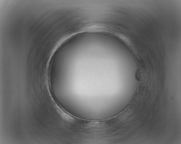 X0000061101478200511241602
