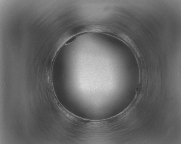 X0000061101481200511241602