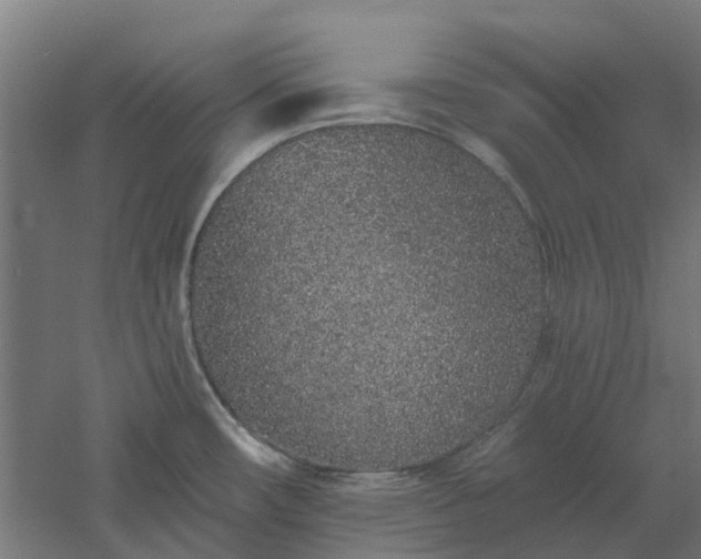 X0000061101482200511241602