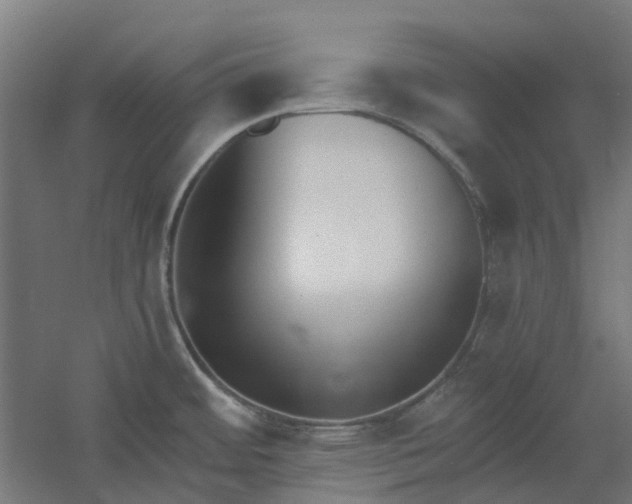 X0000061101484200511241602