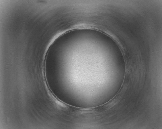 X0000061101486200511241602