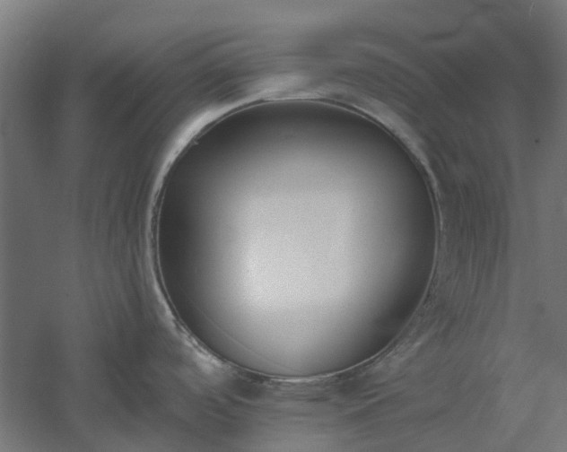 X0000061101488200511241602
