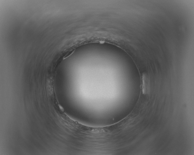 X0000061101491200511241601