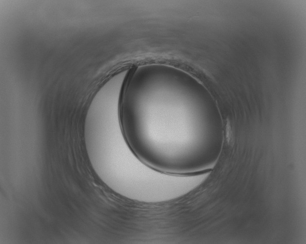 X0000061101492200511241601