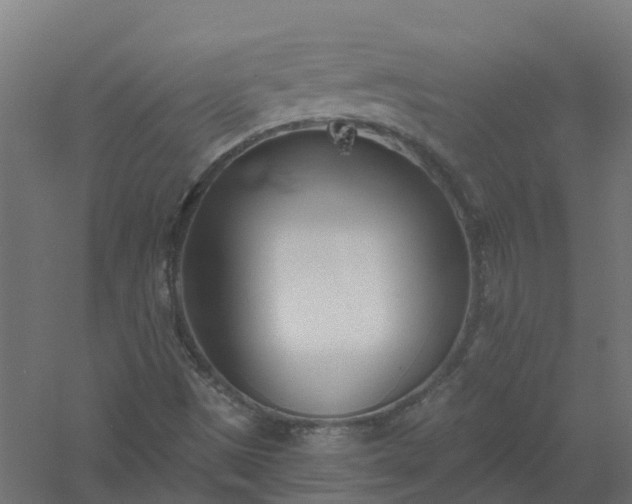 X0000061101497200511241602