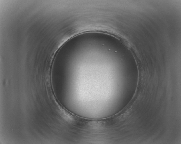 X0000061101521200511241602